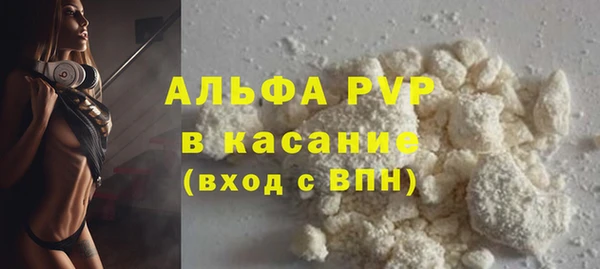 ECSTASY Пересвет