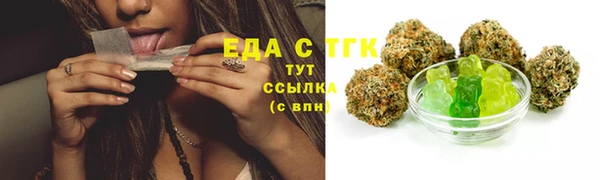 ECSTASY Пересвет