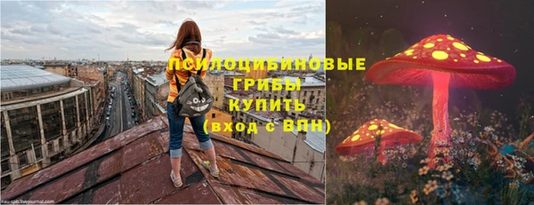ГАЛЛЮЦИНОГЕННЫЕ ГРИБЫ Арсеньев