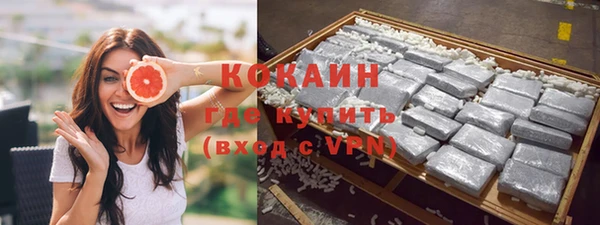 гашик Пестово