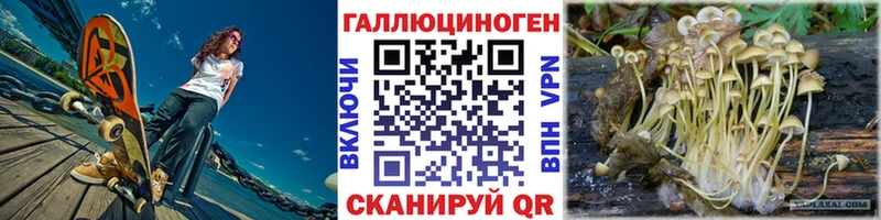как найти закладки  Чайковский  Галлюциногенные грибы Psilocybe 